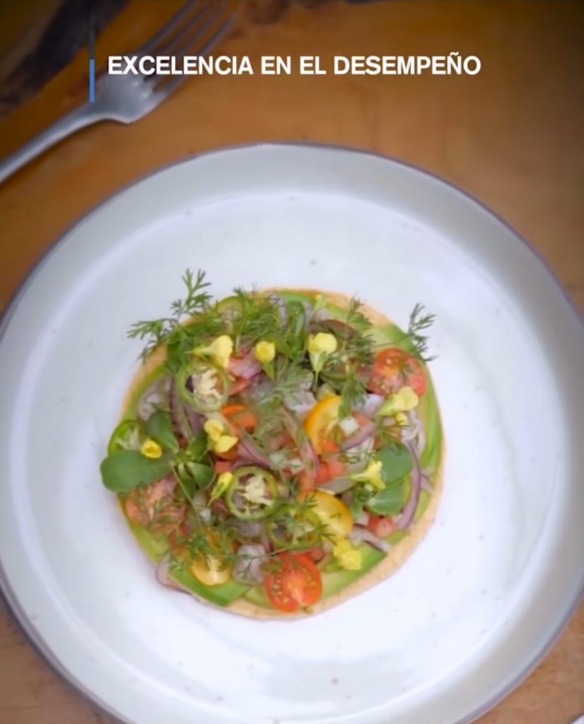 Excelencia en el desempeño