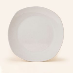 Plato Trinche 25 cm Durezza Antartic